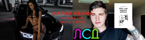 кокс Баксан