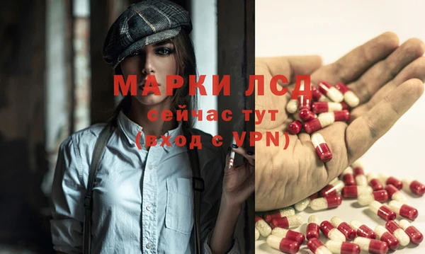 кокс Баксан