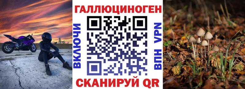 Галлюциногенные грибы Psilocybine cubensis  продажа наркотиков  Краснообск 